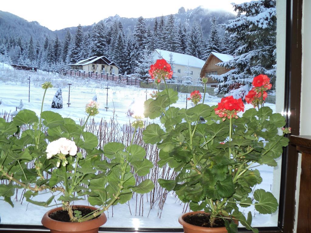 Casa Serban Durău Kültér fotó