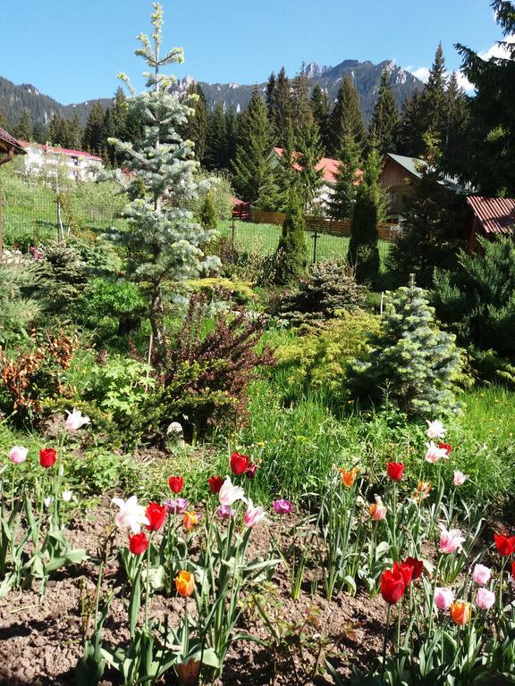 Casa Serban Durău Kültér fotó